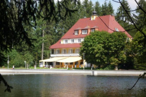Hotel Waldsee Lindenberg